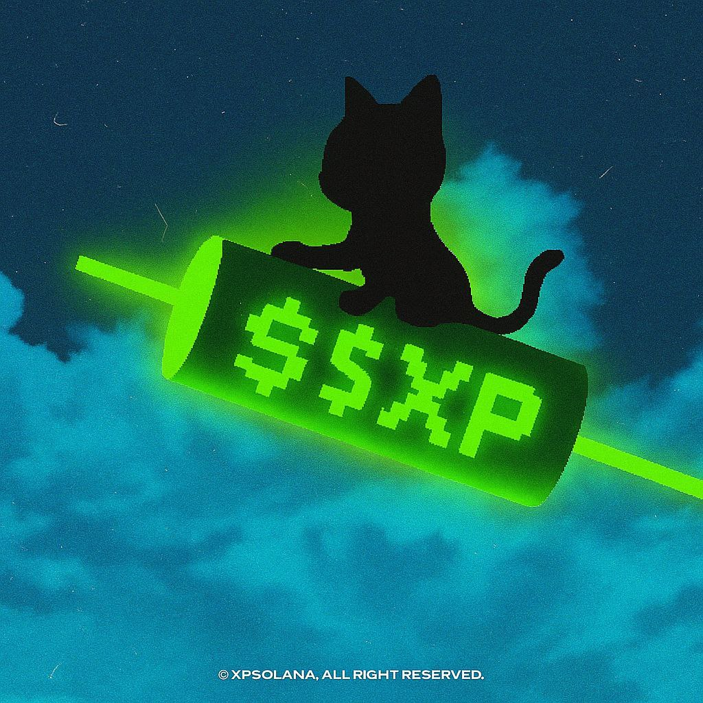 Cat on XP Platform